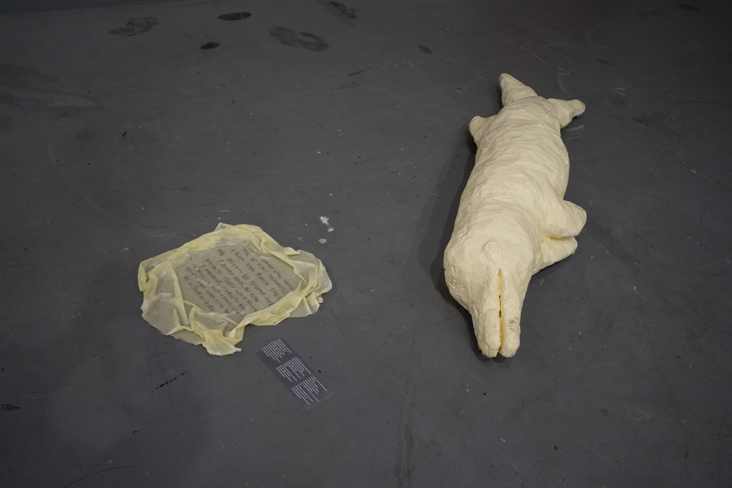 Sevilâ Nariman-qızı