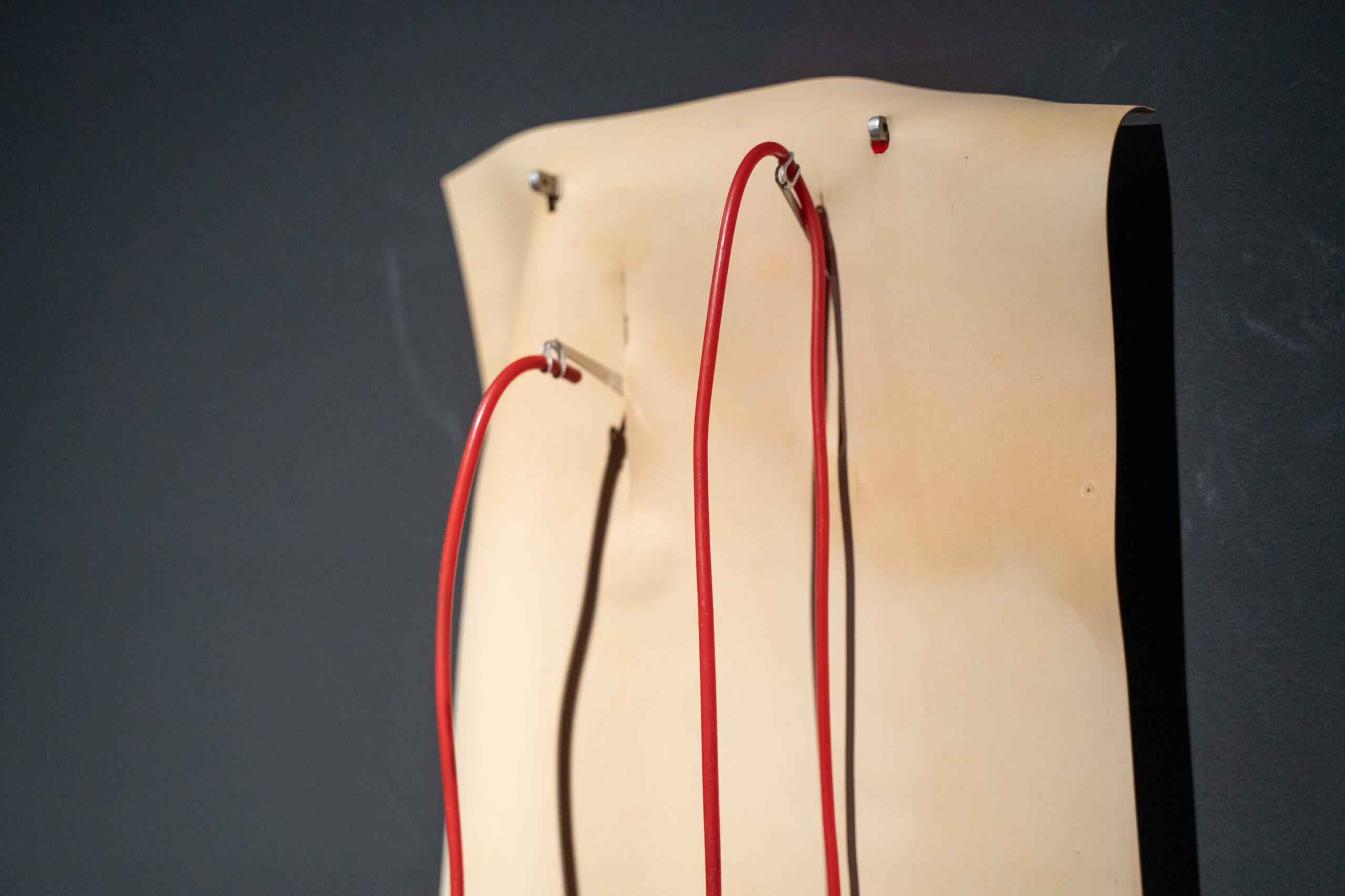 Андрій Підлісний