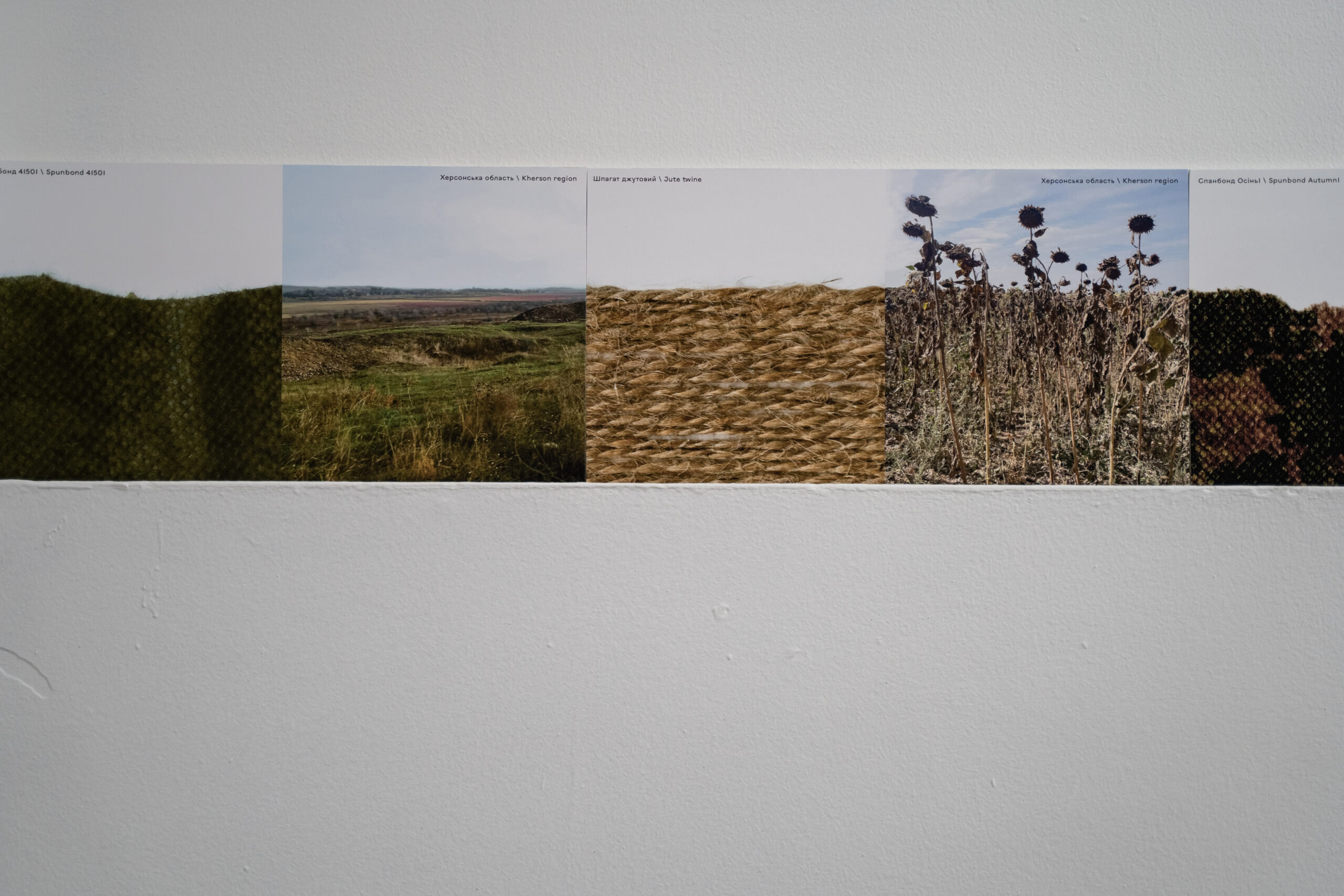 Софія Козлова