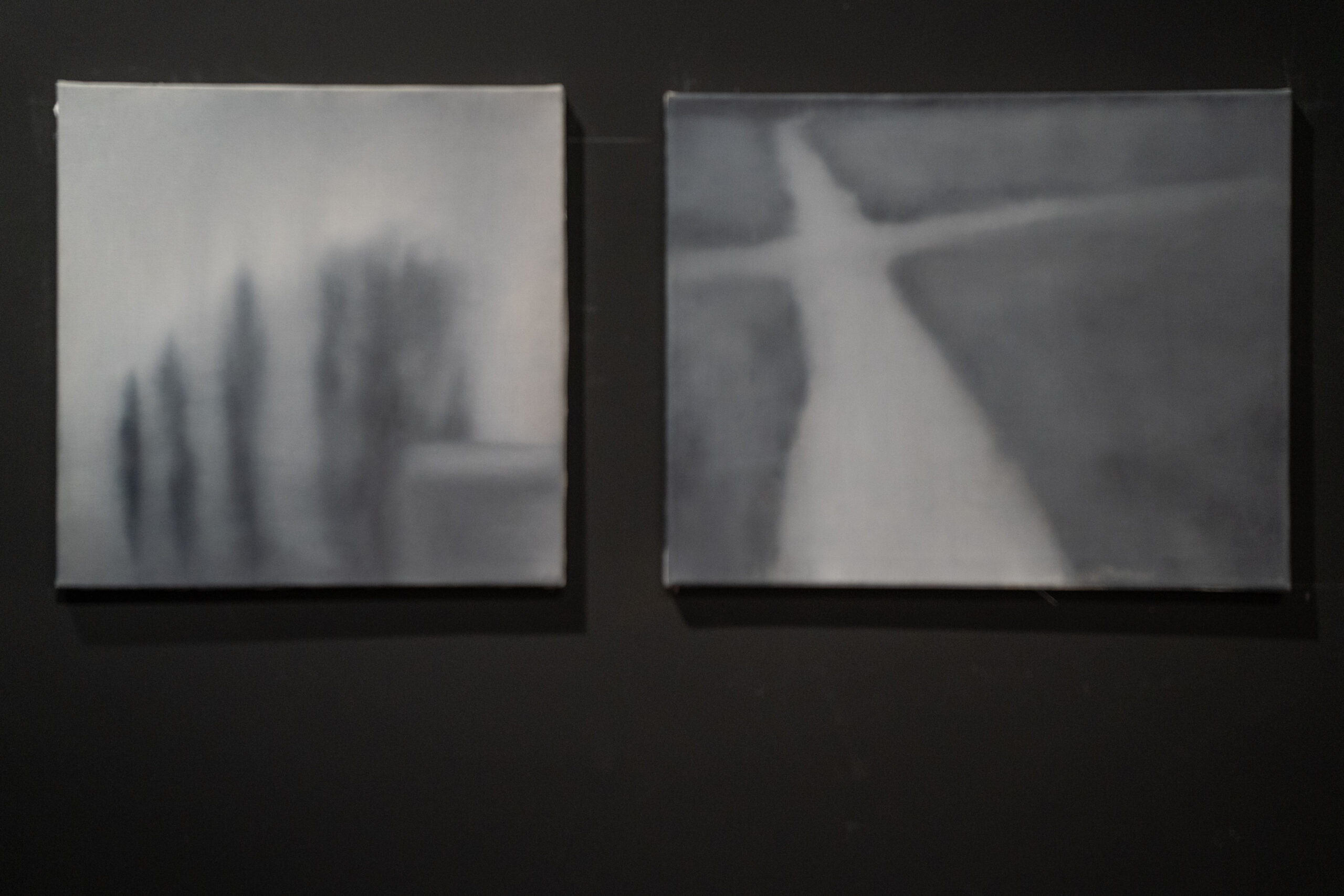 Наталія Лісова