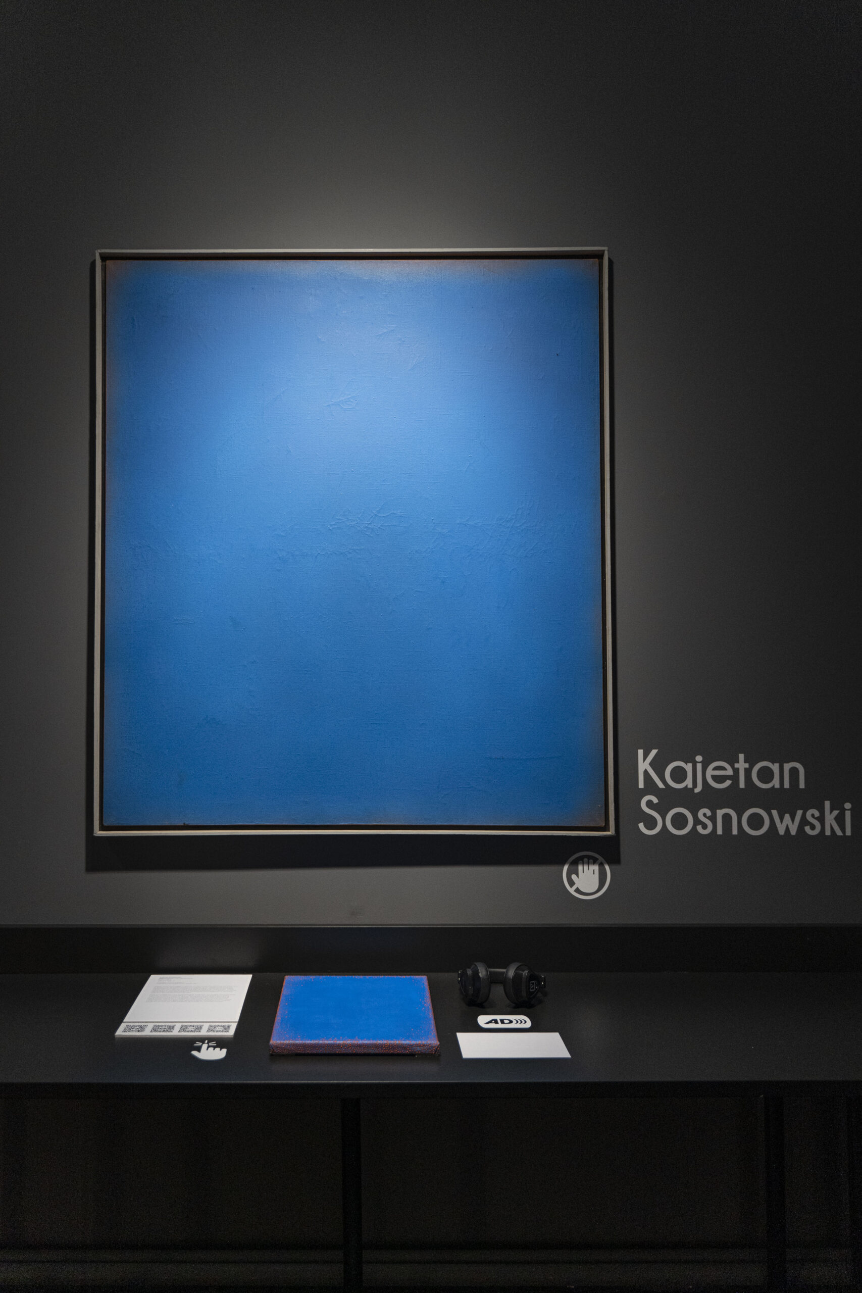 Dokumentacja wystawy „Kolekcja Dostępna”, praca „Błękitny obraz” Kajetana Sosnowskiego oraz adaptacja dotykowa autorstwa Tetyany Falalieievej