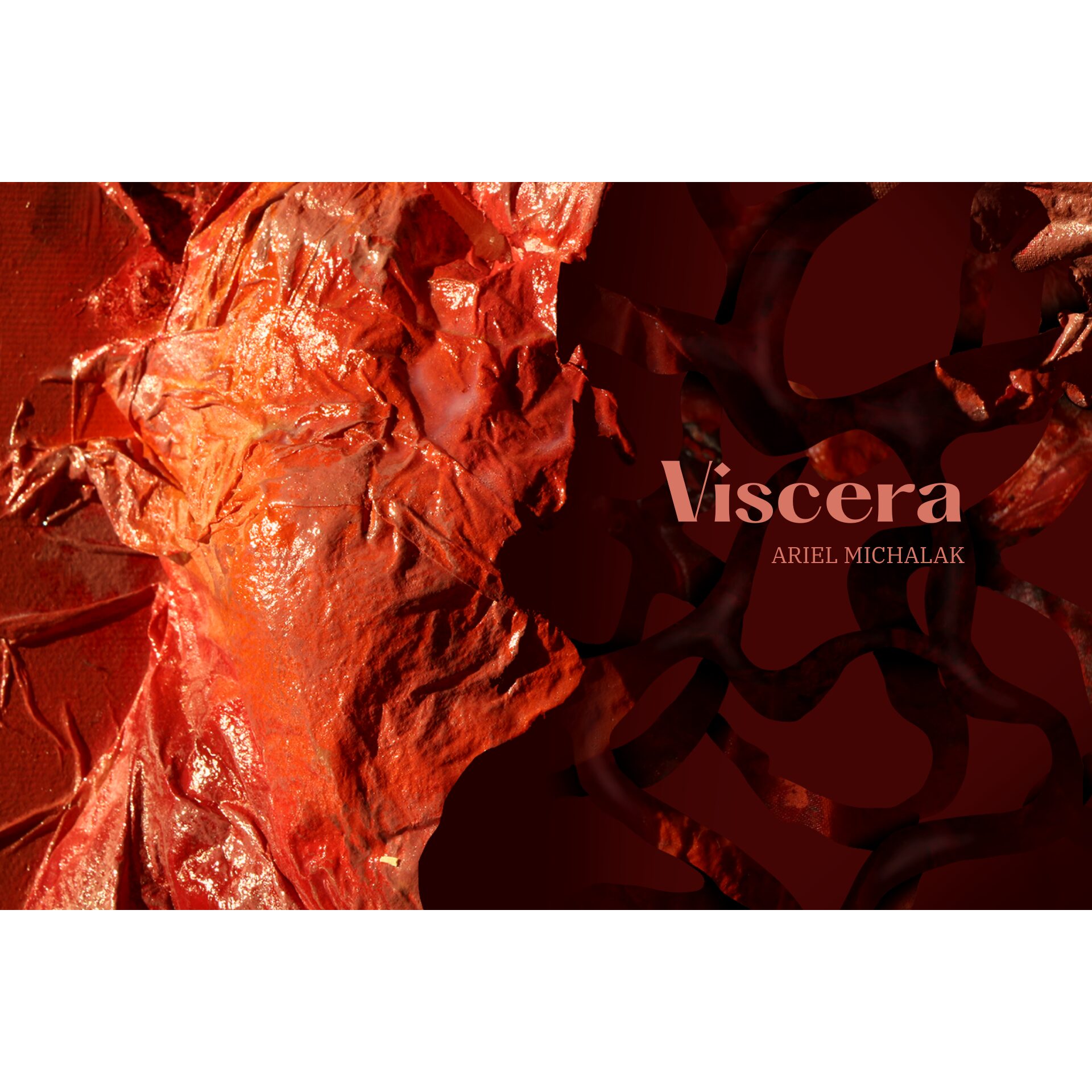 <b></noscript>Ariel Michalak</b> „Viscera” 